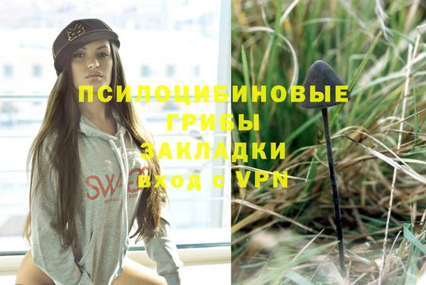 бутират Арсеньев