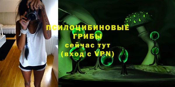 бутират Арсеньев